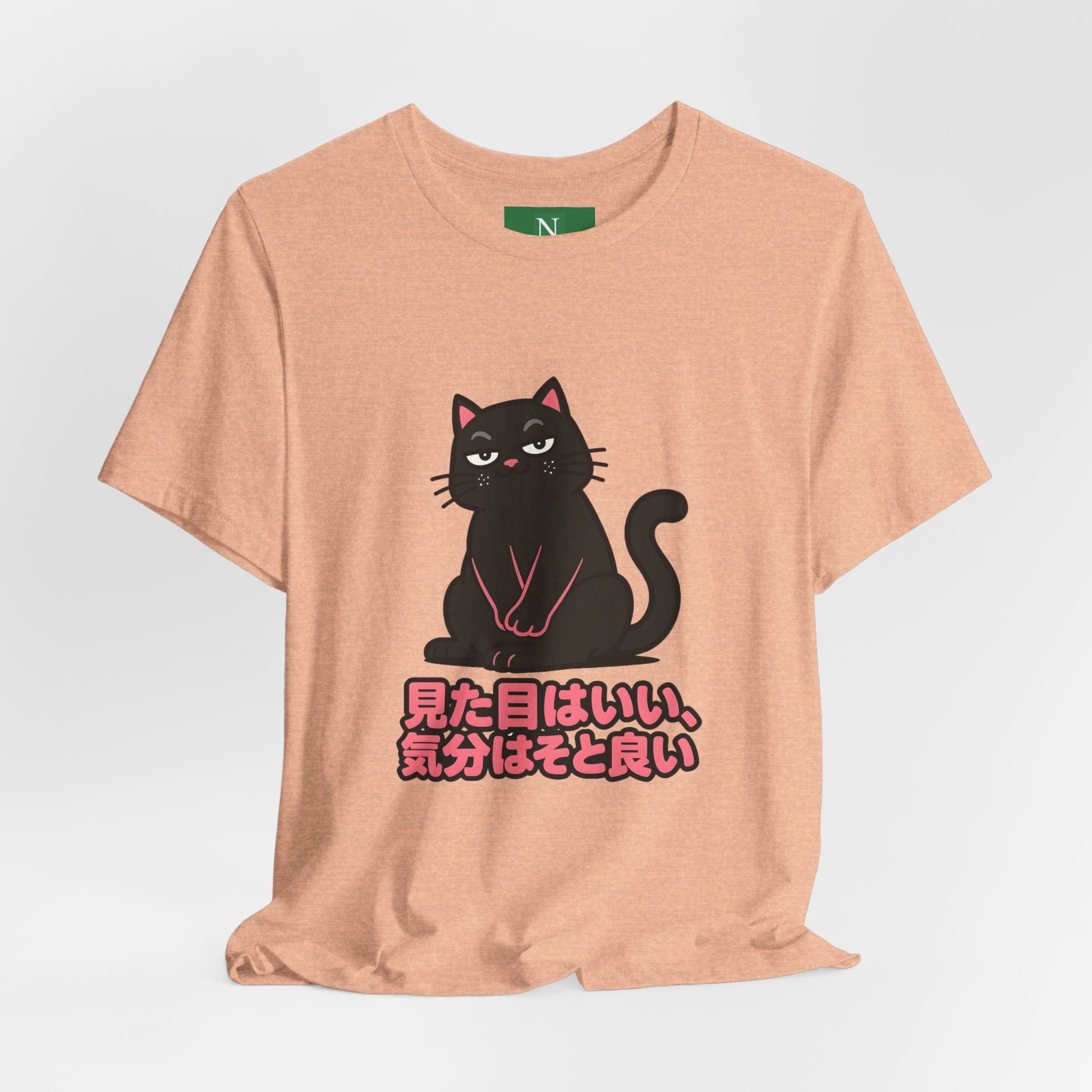 Black Cat Tee with Japanese Text — 'Mita Me wa Ii, Kimochi wa Sore Ijo' Cute Kawaii Graphic T-Shirt