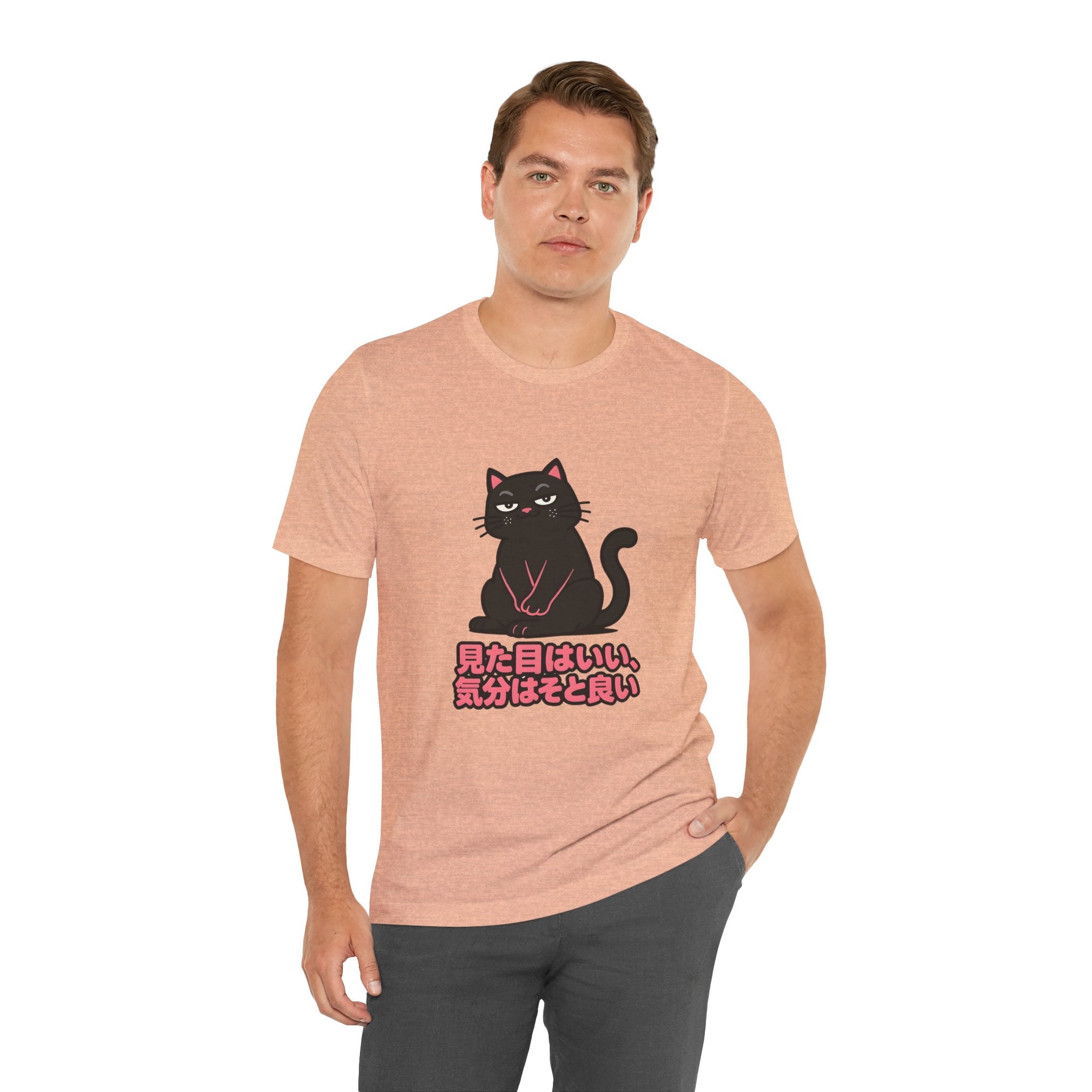 Black Cat Tee with Japanese Text — 'Mita Me wa Ii, Kimochi wa Sore Ijo' Cute Kawaii Graphic T-Shirt