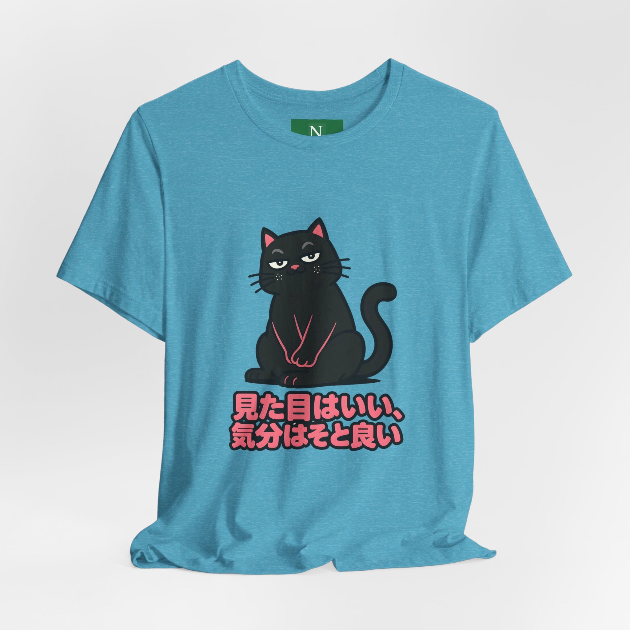 Black Cat Tee with Japanese Text — 'Mita Me wa Ii, Kimochi wa Sore Ijo' Cute Kawaii Graphic T-Shirt