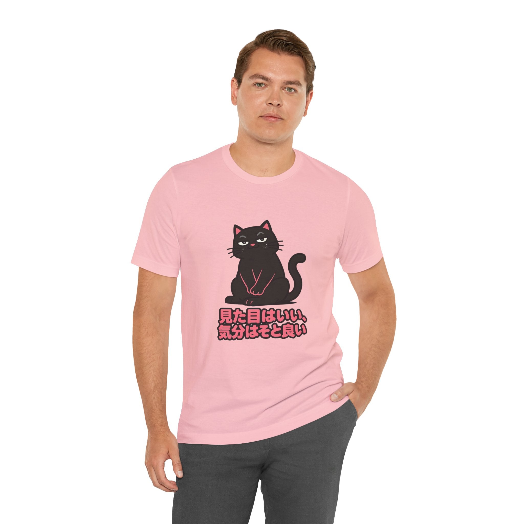 Black Cat Tee with Japanese Text — 'Mita Me wa Ii, Kimochi wa Sore Ijo' Cute Kawaii Graphic T-Shirt